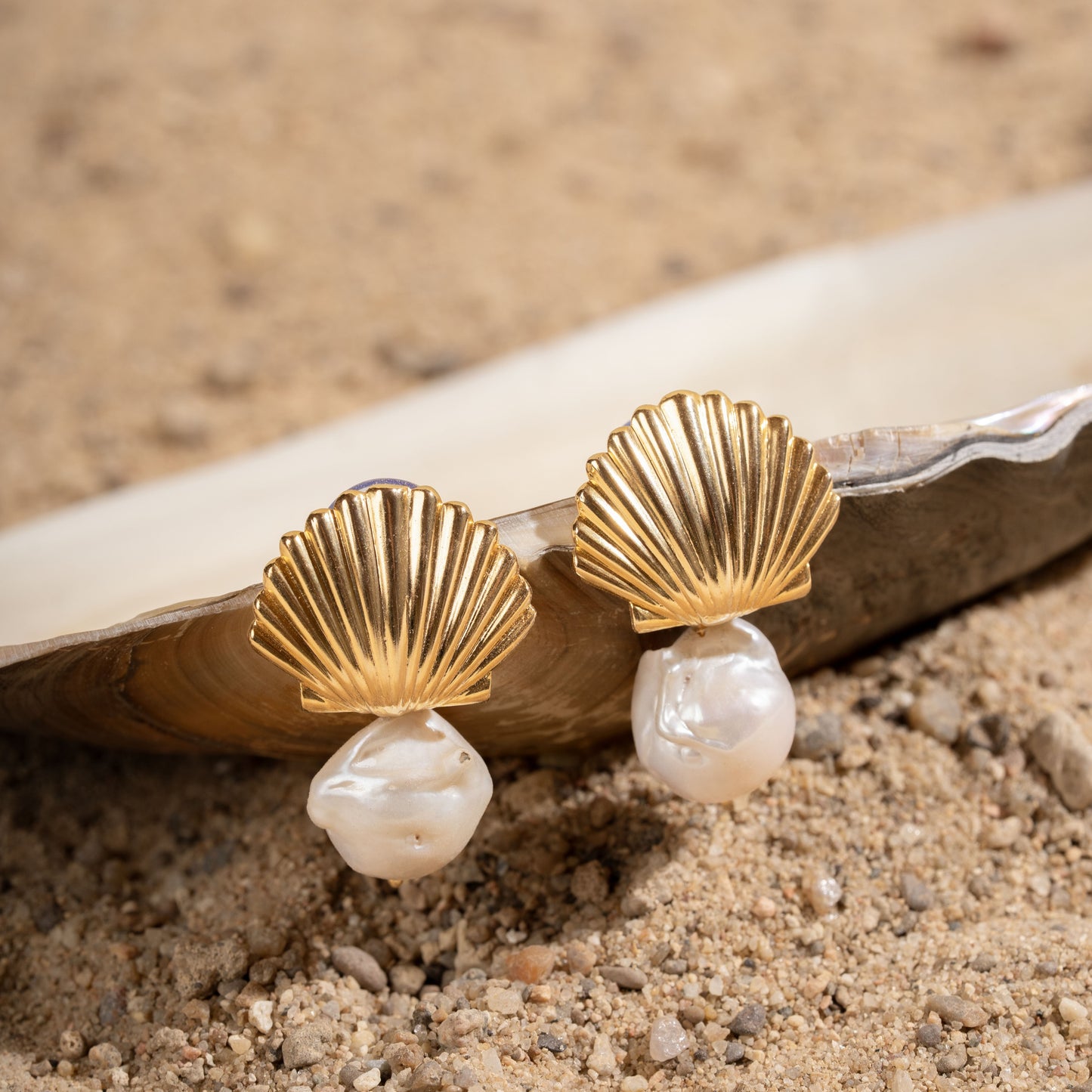 Shell Earrings