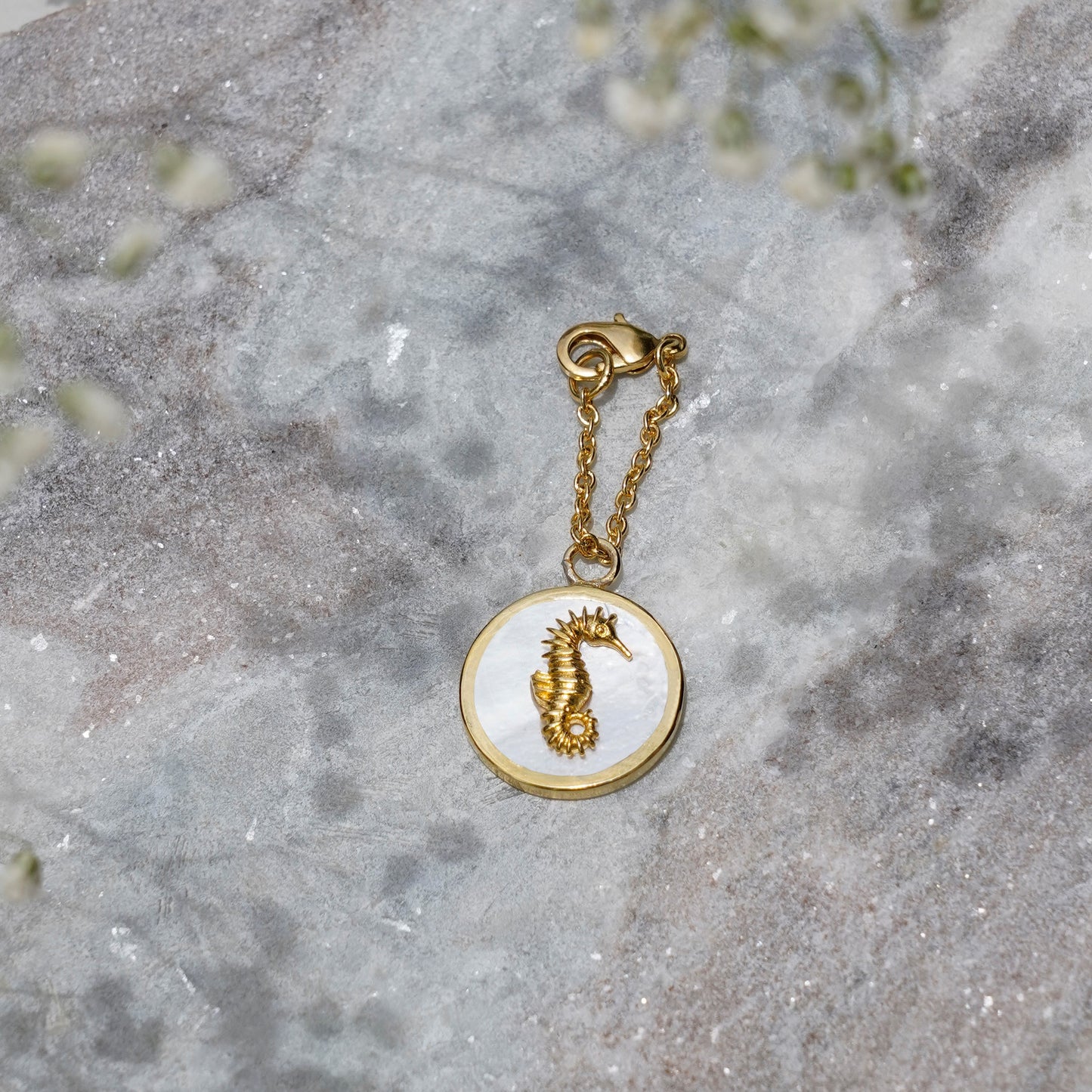 Seahorse Watch Charm